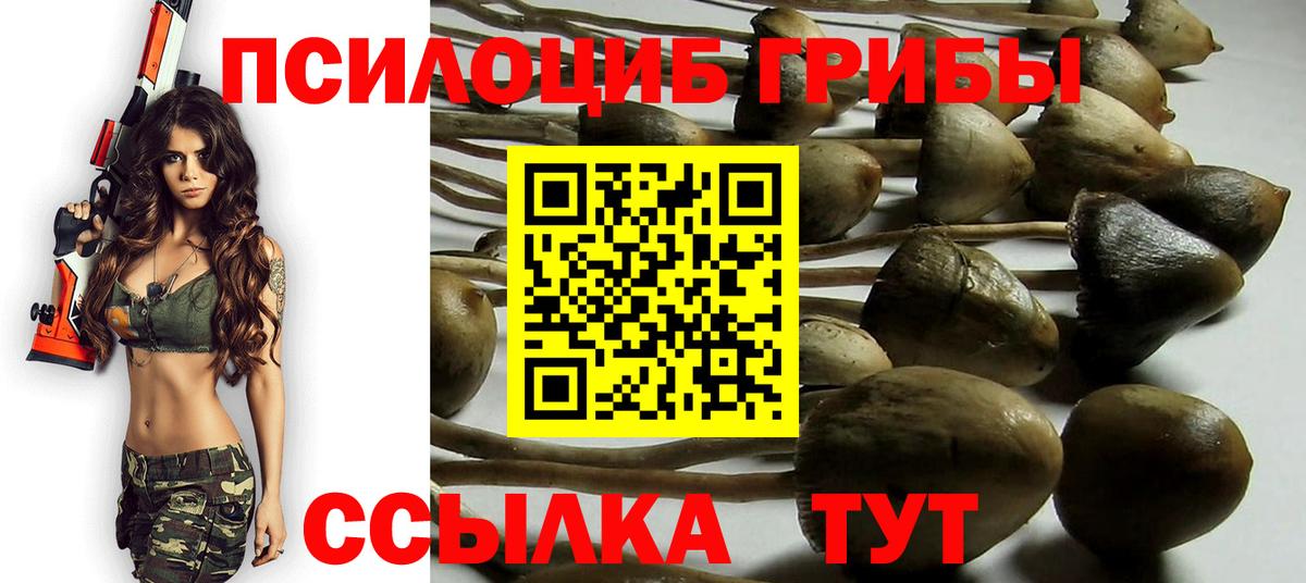 Галлюциногенные грибы ЛСД  где найти наркотики  Прохладный  Вход с VPN  Галлюциногенные грибы прущие грибы 